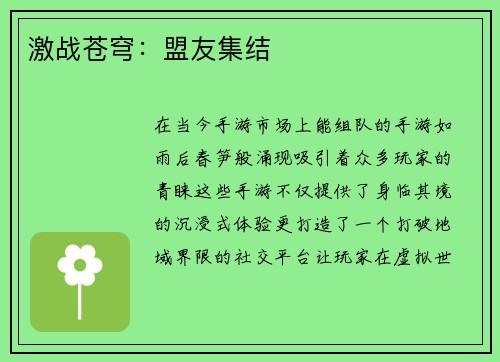激战苍穹：盟友集结